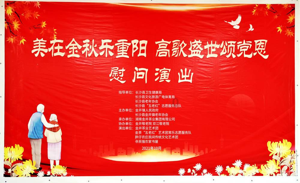 48台演出+花园式派对车展,龙岗区迎春花市主会场好有看头